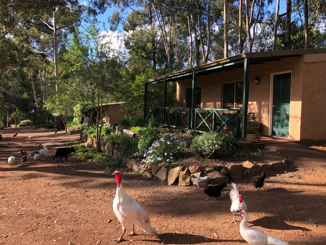 Country Cottages Of Bridgetown Esterno foto